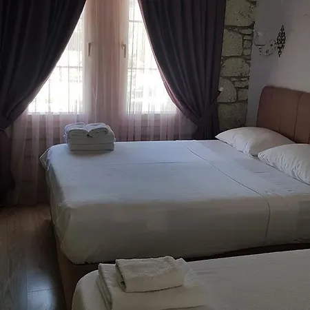 Alaris Panzió