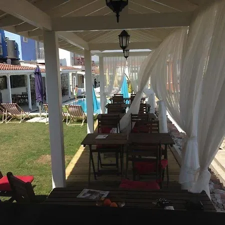 B&B Alaris