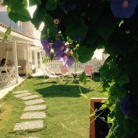 Bed and Breakfast Alaris Αλακάτι